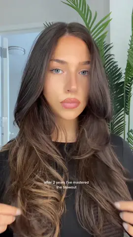 revlon blow dry brush im telling yall 