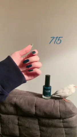 🕊️✨