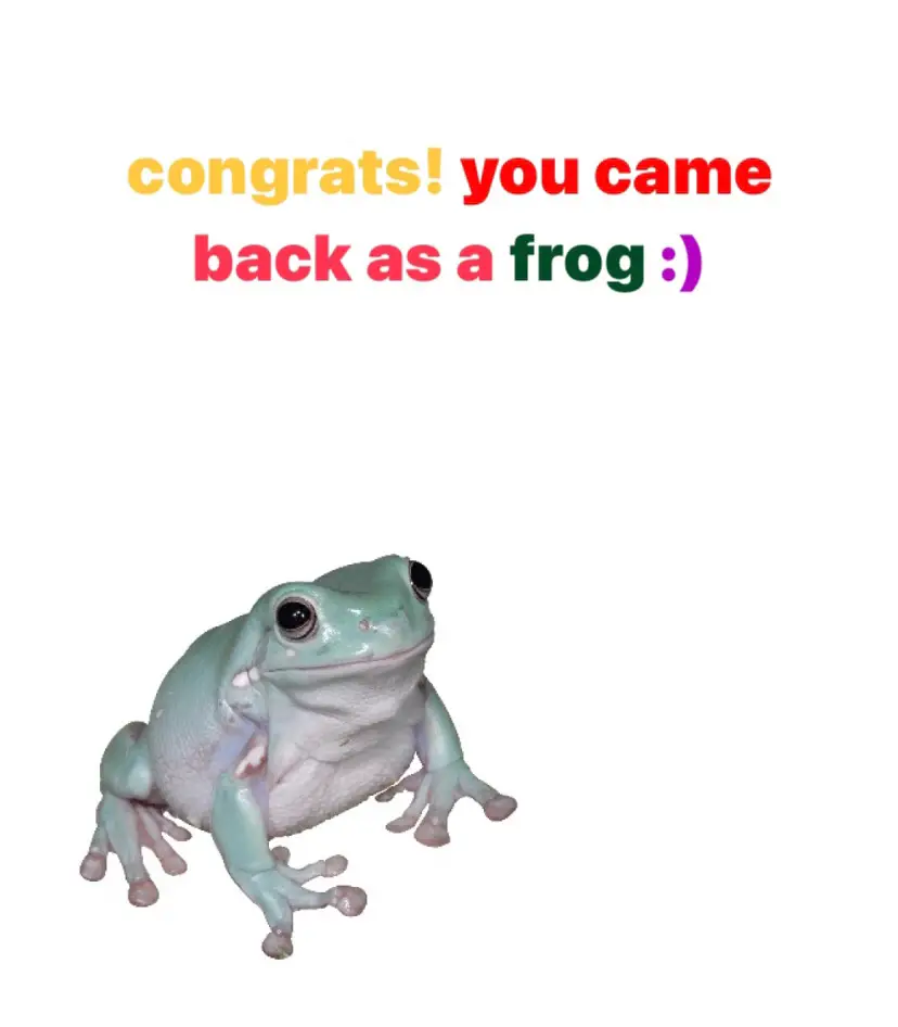 #frog#frogs#frogsoftiktok#froggies#phrog#animals#animalsoftiktok#monkeyfrog#frogspawn#spawn#pet#petfrog#amphibians#reptile#bug#bugs#froggy#frogsontiktok#dumpy#dumpytreefrog#dumpytreefrogs#frogsoundchallange#frogsong#exoticpets #toad#toads#toadsoftiktok#tadpoles#frogeggs#budgettsfrog#pacmanfrog#rainfrog#milkfrog#pixiefrog#bullfrog#bullfrogs#glassfrog#greenfrog#hornedfrog#ribbit#creek#water#stream#river#lake#pond#bog#nature#africanbullfrog#africanbullfrogs#chose#choseone#genshin#genshinimpact32 #GenshinImpact #cute#cutebaby #adorable#ily#ilysm#happy#poistive#safe#srs#fypシ゚viral  #fypシ 