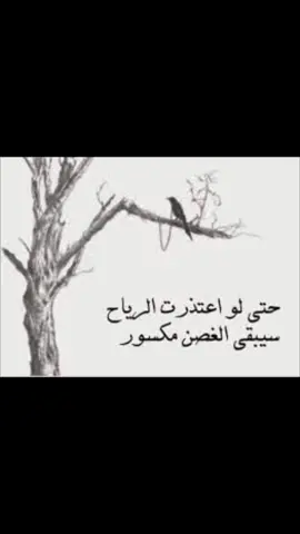 اللهم اجبر خواطرنا بفرج قريب ومغفرة واسعة … إنك سميع قريب ❤️‍🩹