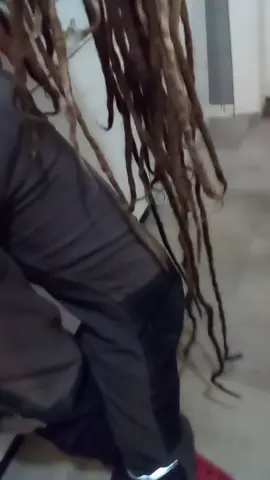 silence ça pousse ;) #dread #dreads #dreadlocks 