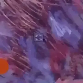 🫡🤣