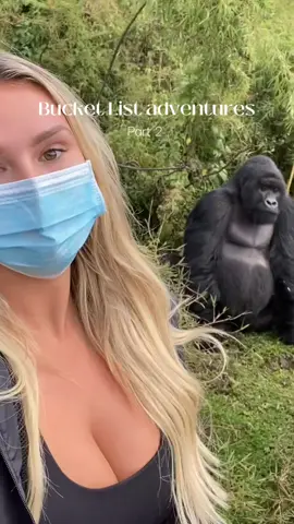 One of the best days of my life! Gorilla trekking in Rwanda Africa was the most thrilling amazing experience to see silver back gorillas in the wild ❤️ #bucketlist #travel #adventure 