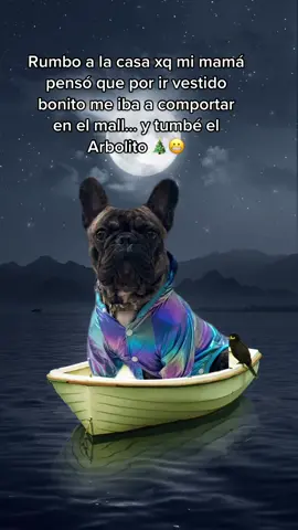 “Me ejé llevar por la emoción e la naviaaa 🎄” atte: Chimu 🐶 #TrendBarco #videoxfoto 