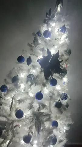 #merrychristmas  #withhealth  #withlove