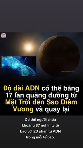 Độ dài ADN có thể bằng 17 lần quãng đường từ Mặt Trời đến Sao Diêm Vương và quay lại #vutru #khoahoc #adn #khampha #xuhuong 
