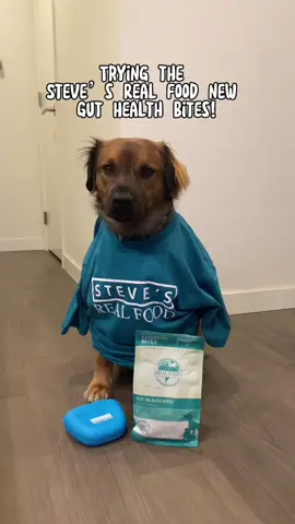 Koda approved! 10/10 and love that the ingredients are so clean and good for Koda’s gut health! @StevesRealFood #stevesrealfood #dogtreats #healthydog #dogfood #dogfoodreview 