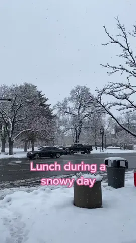 Snowy day ❄️❄️❄️ . #utahrestaruant #panckaes #sandwish #lunchtime #snow #snowyday #loganutah #utahmom #MomsofTikTok #sahmlife #sahm #mom 