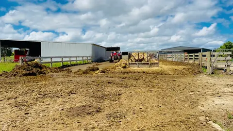 Cleaning hayrack  #dairyfarm #dairyfarmer #dairyfarmingfamily #ofw #pinoydairyfarmer  #australia #fyp 