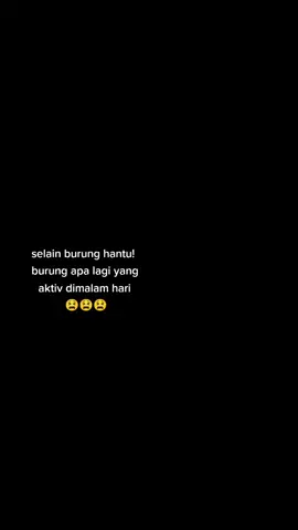 burung gagak👻👻