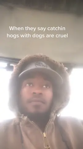For all you pet lovers who think dogs shouldnt do what theyre bred to do #hogdogs#doinwhattheylove#fyp