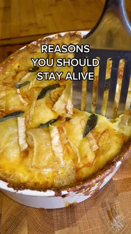 Reasons you should stay alive… 🙏🥔 #potatotiktok #happy #food