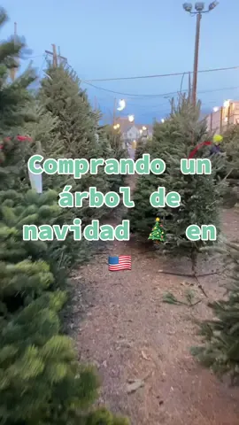 Comprando un árbol de Navidad real #TheRealPussinBoots #arboldenavidad #arboldenavidad🎄 #navidadenusa #latinaenusa #latinosenusa #peruanaygringo #viviendoenusa #mividaenusa #peruanosenelmundo #celendipitty 