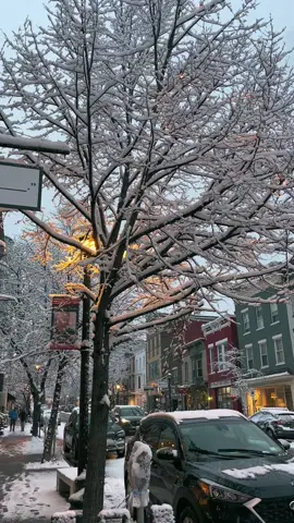First snow in my Hallmark ass town🥰