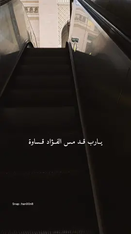 #اكسبلور #explore #المدينه_المنوره #يارب_قد_مس_الفؤاد_قساوةً #fypシ 