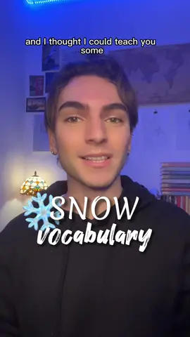 It was magical! ✨ #snow #vocabulary #english 