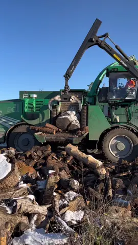 Sdl whole tree chipper eating logs. This one being a little to big. #chipper #sdl #wholetreechipper #woodchip #biomass #treework #treesurgeons #gpctree #gpctreesurgeons #logs #work #clearance 