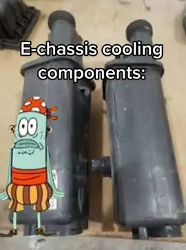 Jawns be overheating #fyp #bmw #spongebob #echassis #cooling #coolant @Faith 