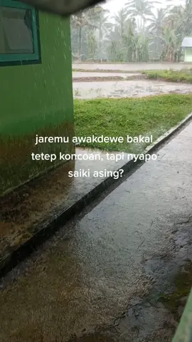 #jowopride #masukberanda #fypdongggggggg #asmarakacau 
