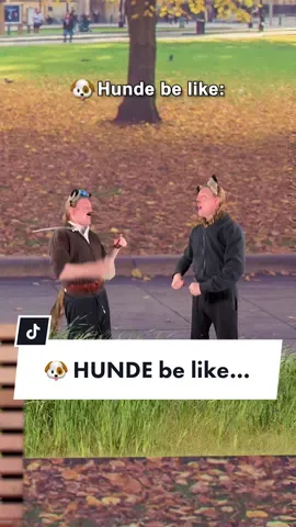 🐶 Hunde be like… Wer kennt’s? #DouglasStahl #dogs #lustig