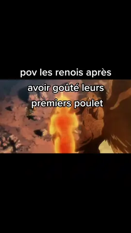 Ce tiktok ne parle pas que de poulet  hyn 👀 je rigole bien sur... J'attends vos pov dans les commentaires ça m'intéresse de fou #meme #hxh  en espérant que ça par en trend @🇭🇹 
