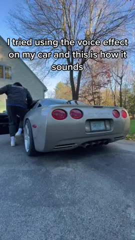 Woah there simmer down 😅  #cars #cartok #corvette #c5 #c5corvette #TheRealPussinBoots 