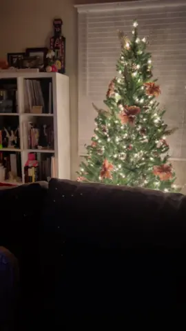 It’s beginning to look a lot like Christmas #Christmas #ChristmasTree #dogsoftiktok 