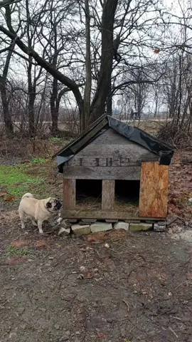 Двухкомнатный сюрприз 🎁 