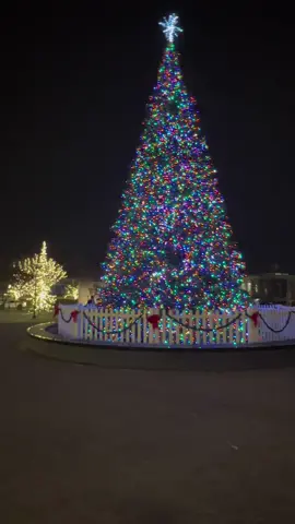 Favorite Time of Year