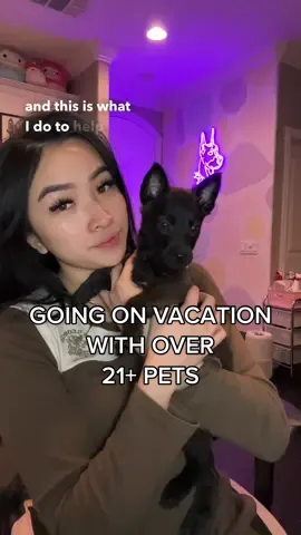 Vacation prep with 21+ pets is no easy feat, but it's worth it to make sure everyone is taken care of while I'm gone. That means stocking up on enough food and water for everyone, packing all the necessary supplies like leashes, collars, and toys, and finding a trusted pet sitter to check in on them while I'm away. It's a lot of work, but seeing my babies happy and taken care of makes it all worth it. #Vlog #PetsOfTikTok #petvlogs 