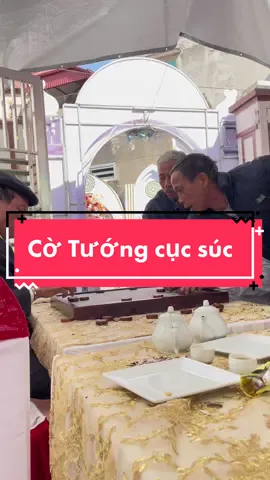 Cờ Tướng: Môn thể thao phối hợp, 2 người chơi 10 người quân sư 🤣 Các cụ đánh cờ chán lại lôi nhau ra cổng đánh nhau 😂  #fyp #cotuong #cotuonggiaitri #TikTokAwardsVN2022 #funny 