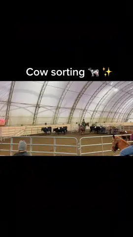 #greenscreenvideo #rodeo #cowsoftiktok #cowhorses #horsesoftiktok #horses #fyp #foryou #cows #barrelhorse #horsesontiktok #horsegirl #sorting #cattle #equestrian #western #giddyup #pnw 