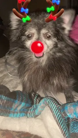 I couldn’t help myself!! She looks super cute!! 