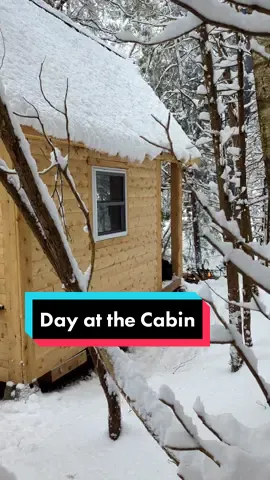 After the storm stopped we decided to go see what it looked like at the cabin, it did not disappoint, all the heavy snow made everything look beautiful, we made a nice fire inside and out, had some hot chocolate and watched a movie. #modernhomestead #homesteading #homestead #DIY #cabin #tinycabin #forest #inthewoods #beautiful #cabininthewoods #family 