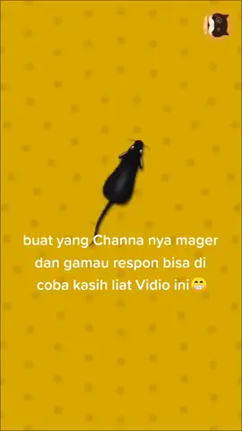 pengalaman saya yang awal nya ikan mager dan ga respon sama sekali akhir nya aktif dan mau raspon 