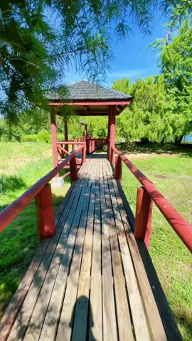 Momentos✨❤️‍🩹 #losangeleschile #biobiochile #moment #parati #fypシ゚viral #fyp #paisajes #lasmellizas #lagunaslasmellizas #centrorecreativo #rutaschilenas #iris #natalietaylor 