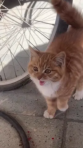 🥰