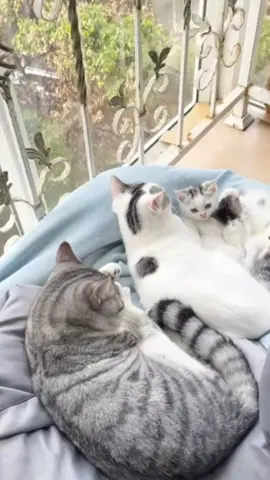 🥰
