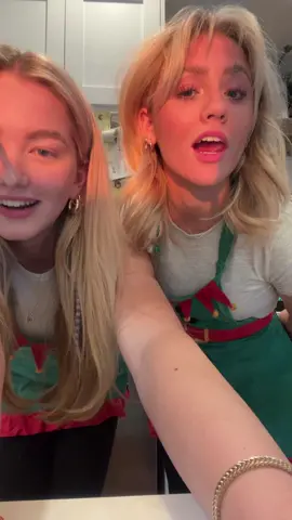 little elf twins 