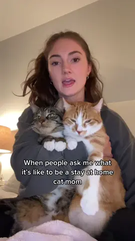 Clearly we all spend a little too much time together 😅 #CatsofTikTok 