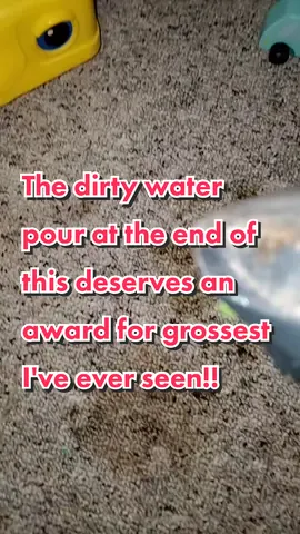 I literally can not process the dirty water pour at the end of this video!!!! I can not!!! I am appalled that this machine mixed with one of my new cleaners got that much out of this rug that I carpet clean all the time.. That I scrub on my hands and knees alllllll the time. Potty training is ROUGH friends. Every time I think we're done than something happens again but when it's really over I'm cleaning the entire rug with this combo. I'm still not over the dirty water pour.. I'm just not. #carpetcleaning #toddlers #pottytraining #rugscrubbing #greenmachine #dirtywaterdump #dirtywaterpour #carpetshampooer #gross #cleaning #CleanTok 