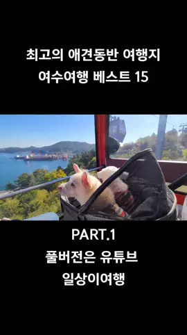 최고의 애견동반 여행지 여수여행 베스트 15 #여수여행 #애견동반여행 #애견동반여수 #여행에미치다 #대한민국구석구석 #전남여행 #강아지여행 #겨울여행 #tlog #겨울여행지추천 