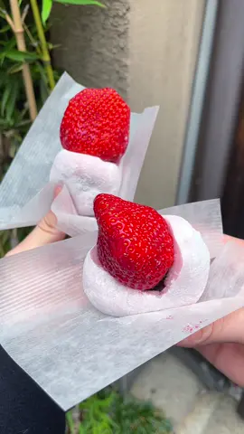 京都錦市場の食べ歩きまとめ6選🍓 ①鳥清「鶏チャーシュー棒」 ②鱧秀「えび串」 ③幸福堂「特選いちご大福」 ④魚力「ハモの天ぷら」 ⑤スヌーピー茶屋「スヌーピーやき」 ⑥茶和々「抹茶わらびもち」 #錦市場 #京都グルメ #tiktokfood #japanesefood 