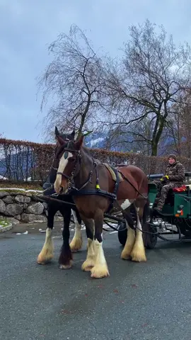 . Kitzbuhel Tirol Austria 🇦🇹  . ‎ كيتزبوهيل تيرول النمسا . . . . . . #اوروبا #النمسا #سفر #سياحة #اكسبلور #ميسي #الارجنتين #austria #travel #europe #fyp #viral #messi #argentina #saudiarabia 