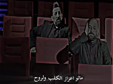 عدي الكعبي ماتو اعزاز كلب ولروح #المصم_سجادُ 