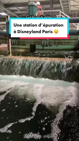Cachée dans les coulisses, cette station d'épuration a déjà permis d'économiser 2 millions de m3 d'eau potable ! #DisneylandParis #DisneyParks #Environnement #Sustainibility
