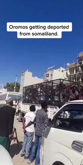 One dude screamed while getting deported “aniga somali baan ahay” #somalitiktok #oromo #somaliland #fyp   