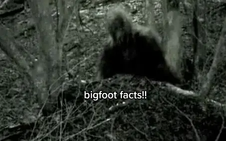 don't judge me ☹️ #fyp #bigfoot #bigfootfacts 