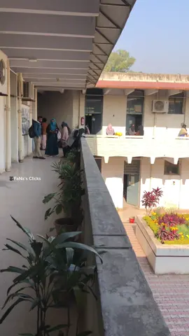 Biological Science Department | QAU Islamabad 💙  #qau #qauislamabad #qauideazam #fanaclicks #fyp #fypシ #foryou #foryoupage #quaidiazamuniversity 
