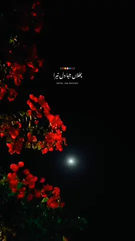 Phulaan jiya Dil Tera ❥❥❥ 00:00am  #3am #thoughts #3amthoughts #3am_thoughtx #foryou #viral #khaak_aesthetics 